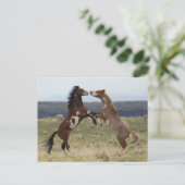 Stallions, Steens-gebergte, Oregon Briefkaart (Staand voorkant)