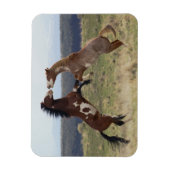 Stallions, Steens-gebergte, Oregon Magneet (Verticaal)