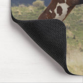 Stallions, Steens-gebergte, Oregon Muismat (Hoek)