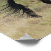 Stallions, Steens-gebergte, Oregon Poster (Hoek)