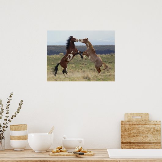Stallions, Steens-gebergte, Oregon Poster (Keuken)