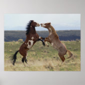 Stallions, Steens-gebergte, Oregon Poster (Voorkant)