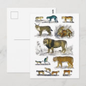 Stalvee Briefkaart (Voorkant / Achterkant)