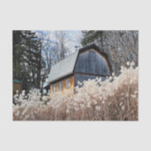 Stalwart Barn die over een gebied van witte Plante Tissuepapier (Voorkant)