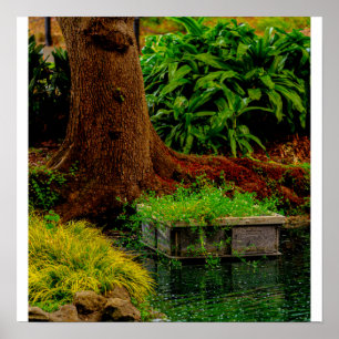 Stam en Water Poster