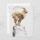 Stambecco d'Oro 2005 Briefkaart (Voorkant / Achterkant)