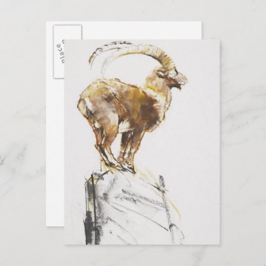 Stambecco d'Oro 2005 Briefkaart (Voorkant / Achterkant)