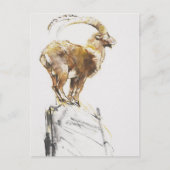 Stambecco d'Oro 2005 Briefkaart (Voorkant)