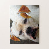 Stamboek Bulldog. Legpuzzel (Verticaal)