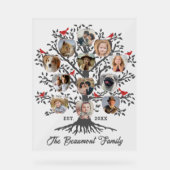 stamboom 12 fotocollage aangepaste naam en datum acryl bord (Voorkant)