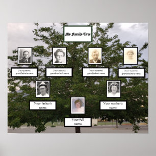 Stamboom 3 Generaties Foto Namen Zomer Poster
