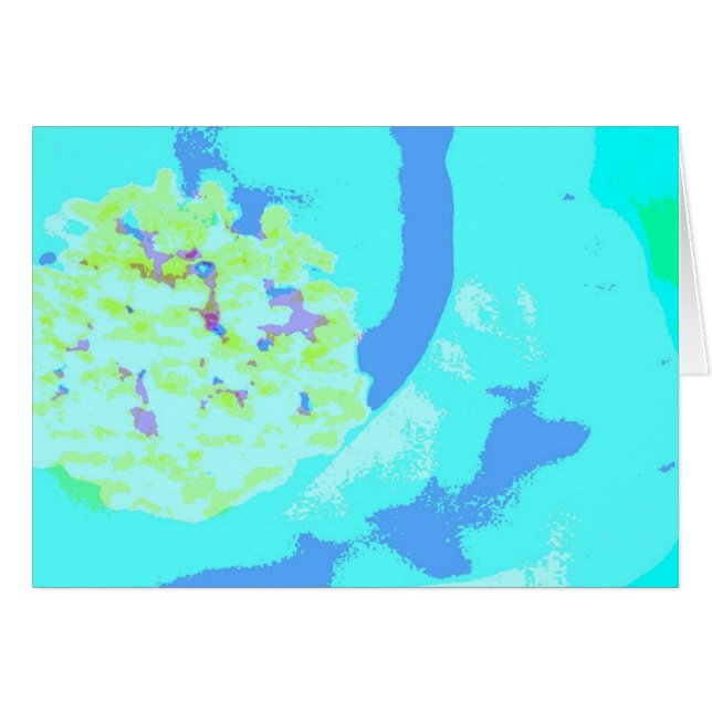 stamen . één (Voorkant Horizontaal)