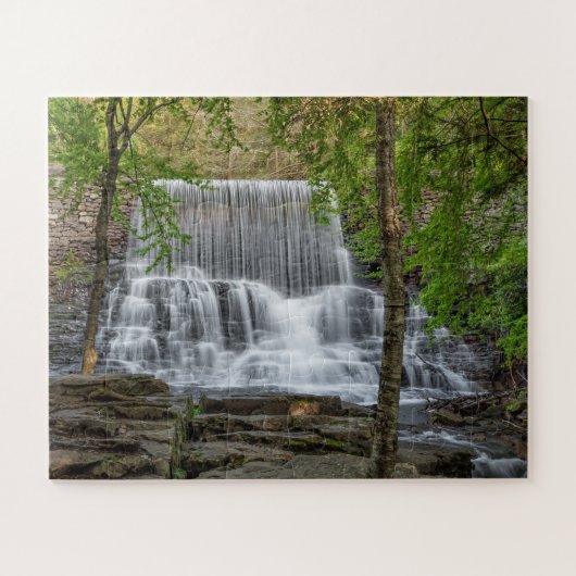 Stametz-dam 16x20 eenvoudig legpuzzel (Horizontaal)