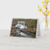 Stametz Dam Kaart (Gele Bloem)