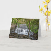 Stametz-dam Kaart (Gele Bloem)