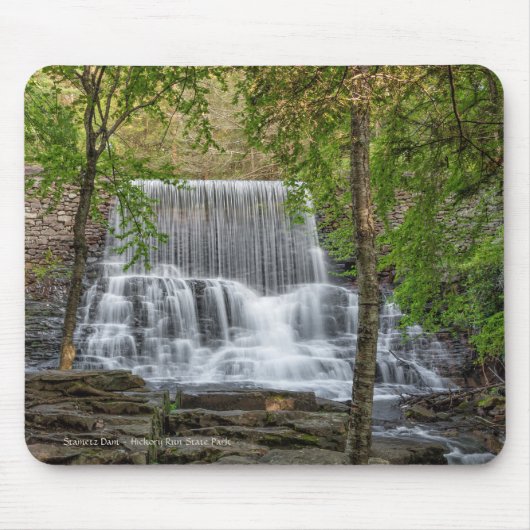 Stametz Dam Muismat (Voorkant)