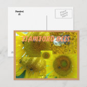 STAMFORD CT BEES BRIEFKAART (Voorkant / Achterkant)