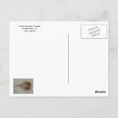 Stamford, CT Briefkaart (Achterkant)