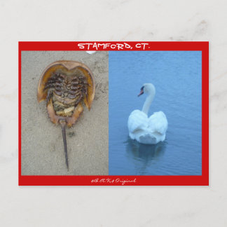 Stamford, CT Briefkaart