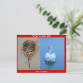 Stamford, CT Briefkaart (Staand voorkant)