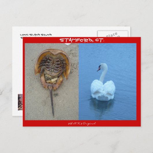 Stamford, CT Briefkaart (Voorkant / Achterkant)