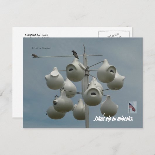 Stamford Ct Briefkaart (Voorkant / Achterkant)