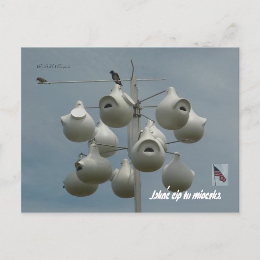 Stamford Ct Briefkaart (Voorkant)