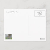 Stamford, Ct Water Uitzicht Briefkaart... Briefkaart (Achterkant)