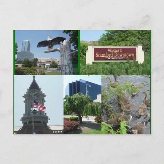 Stamford Downtown Center Briefkaart (Voorkant)