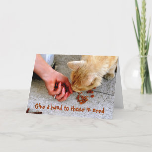 Stamkat Hawaii Shelter Pets Feestdagen Kaart