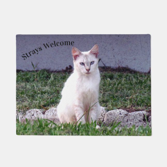 Stammen welkom - Siamese Stray Cat Doormat Deurmat (Voorkant)