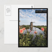 Stammolen en bloemen, Holland-kaart met verticale  Briefkaart (Voorkant / Achterkant)