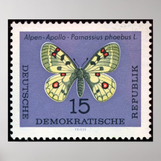 -Stamp-Art-German-Animal-Insect-Butterfly-3 Poster (Voorkant)