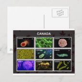 stamp briefkaart (Voorkant / Achterkant)