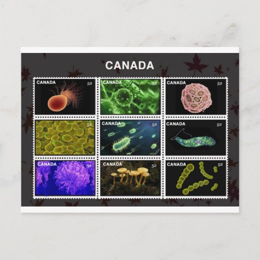 stamp briefkaart (Voorkant)