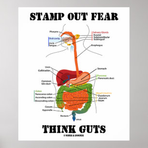 Stamp Out Fear Think Guts (Humor spijsverteringsst Poster