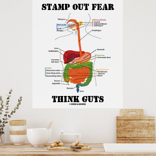Stamp Out Fear Think Guts (Humor spijsverteringsst Poster (Keuken)