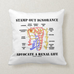 Stamp Out Ignorance Advocate Renal Life Nephron Kussen