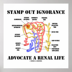 Stamp Out Ignorance Advocate Renal Life Nephron Poster