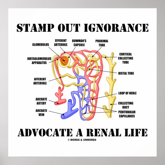 Stamp Out Ignorance Advocate Renal Life Nephron Poster (Voorkant)
