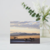 Stampede Briefkaart (Staand voorkant)