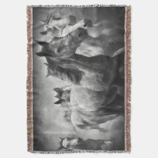 Stampede deken van het paard (Voorkant Verticaal)