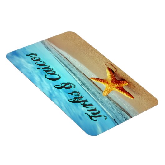 Stamvis van de soort Turks en Caicos Magneet (Rechterzijde)