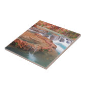 Stamwatervallen Tegeltje (Zijkant)