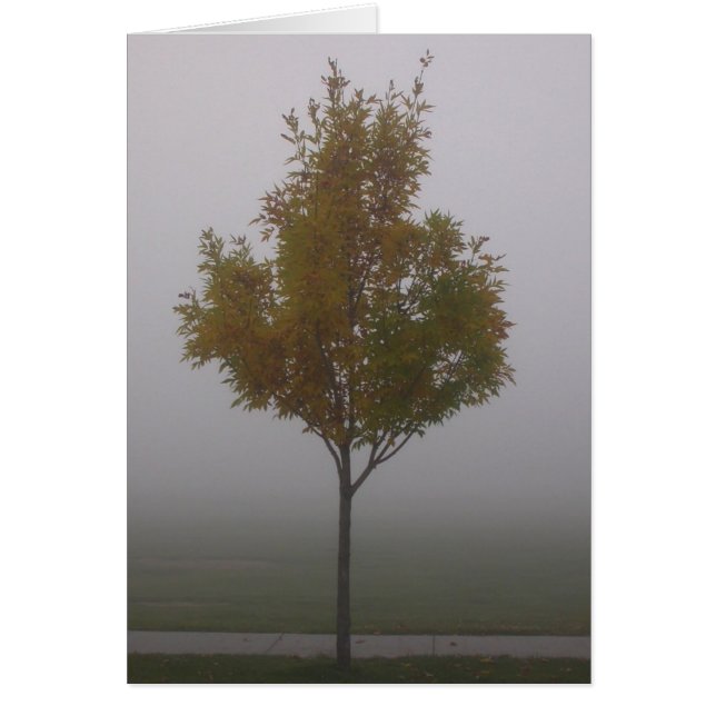 Stand-alone (Voorkant)