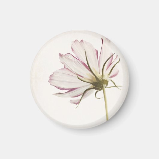 "Stand in the Light" Magneet (Voorkant)