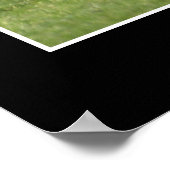 "STAND OUT" WITTE RAVENS Motivatie foto's Poster (Hoek)