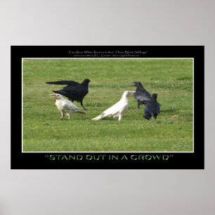 "STAND OUT" WITTE RAVENS Motivatie foto's Poster