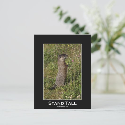 Stand Tall Marmot Briefkaart (Staand voorkant)