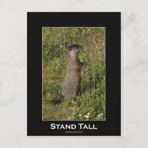 Stand Tall Marmot Briefkaart